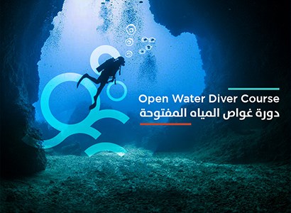 Open Water Diver Course