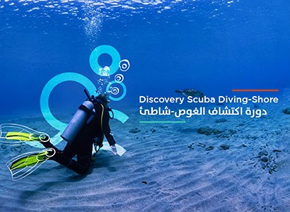 Discover Scuba Diving - Shore