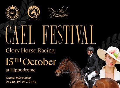 CAEL FESTIVAL